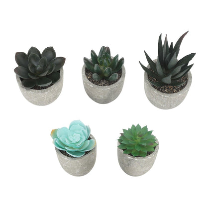 Plantas Suculentas Artificiales en Maceta (5 Piezas) - mudhouse