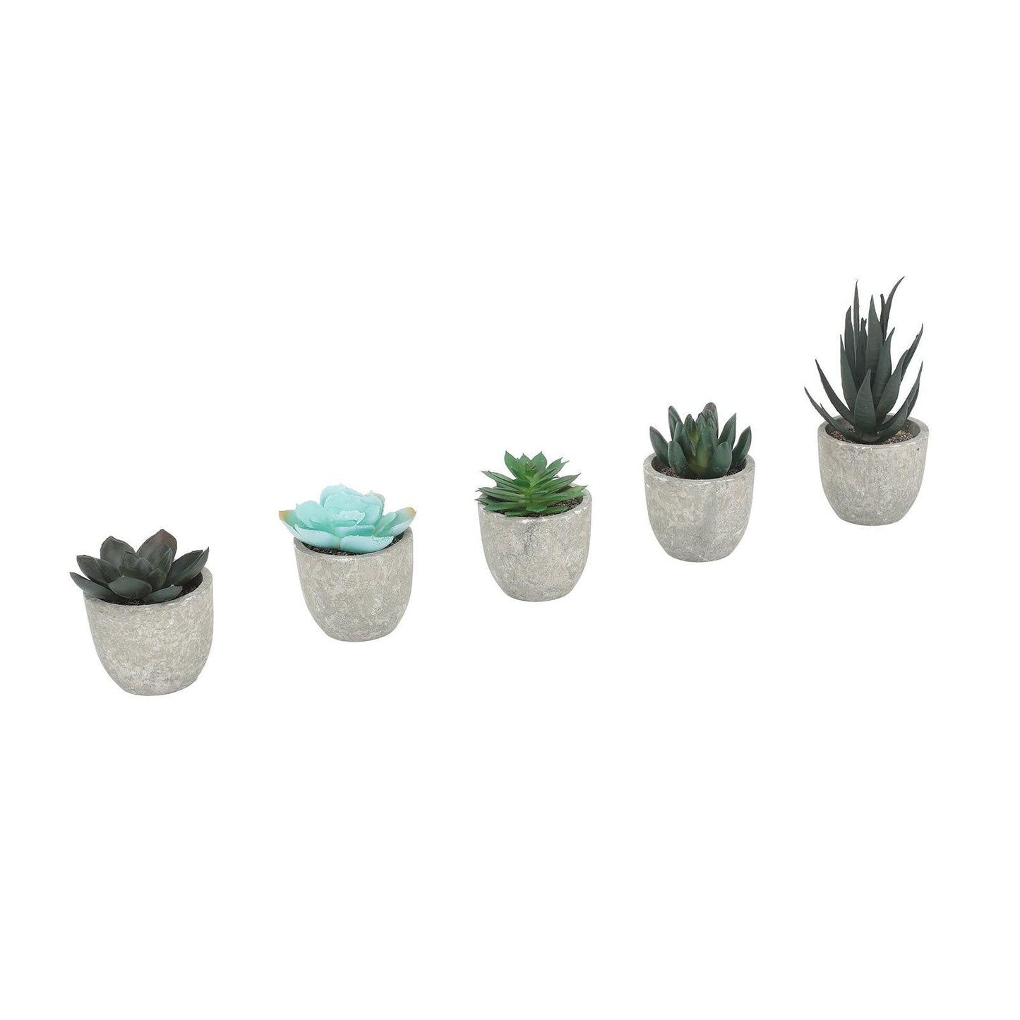 Plantas Suculentas Artificiales en Maceta (5 Piezas) - mudhouse