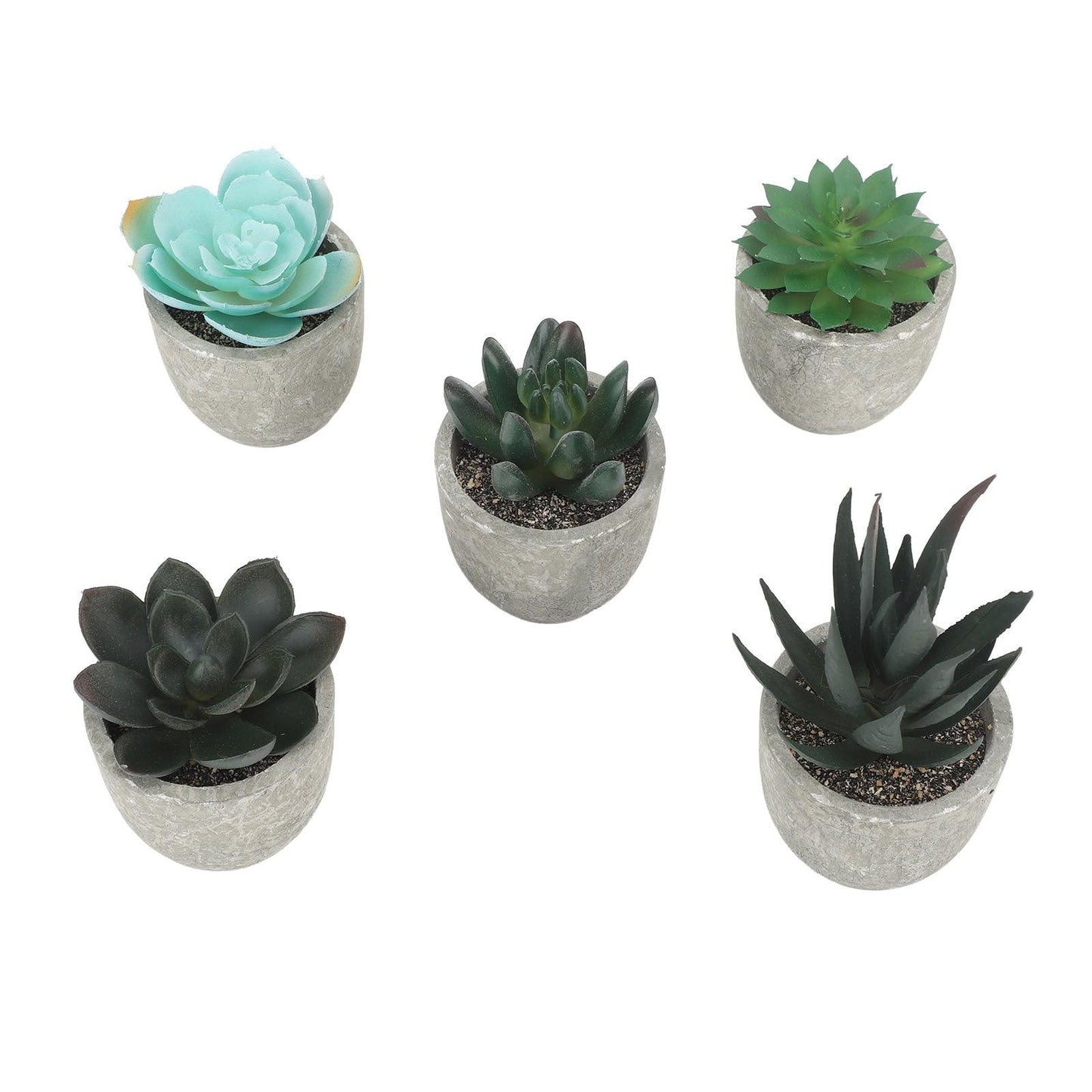 Plantas Suculentas Artificiales en Maceta (5 Piezas) - mudhouse